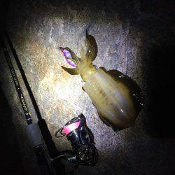 ニューロッドで！