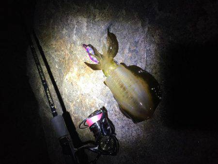 ニューロッドで！