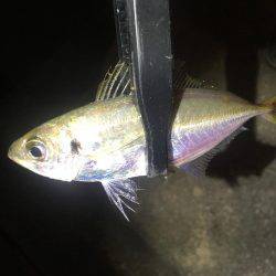 うそでしょー？たまたまよねー？