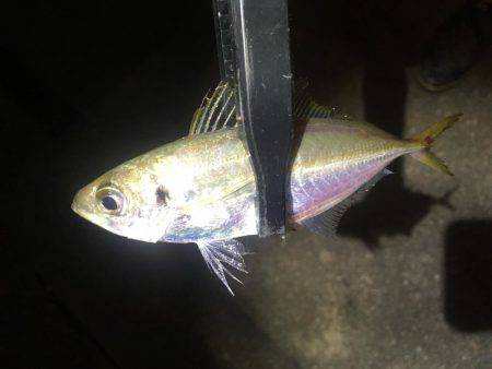 うそでしょー？たまたまよねー？