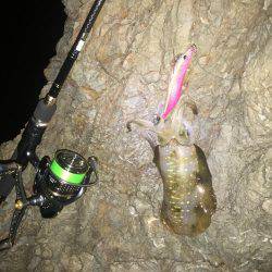 数釣りエギング