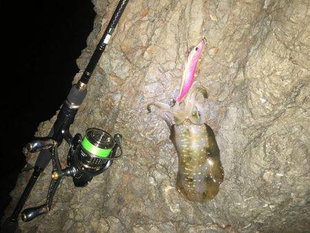 数釣りエギング