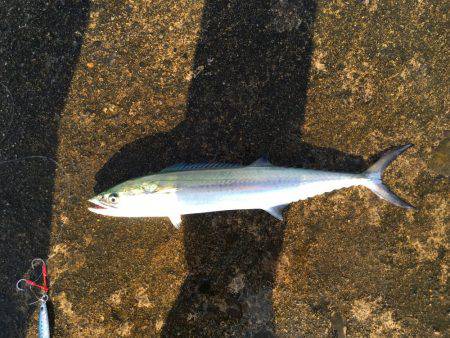大荒れの日本海へ