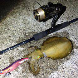 寝る前の短時間エギング