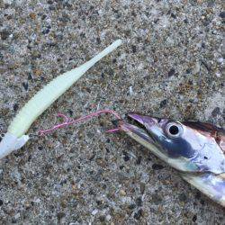 スリリングなやりとりを楽しめました