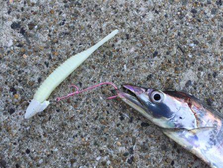 スリリングなやりとりを楽しめました