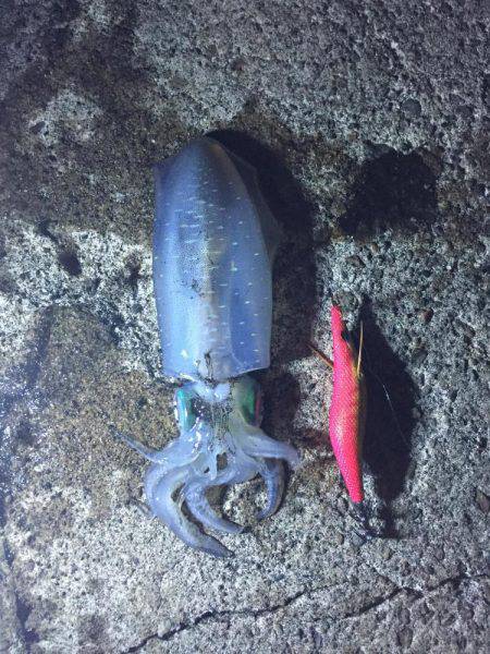 夜中からの釣行