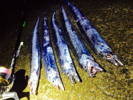 久しぶりのタッチー‼︎