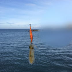 またまた中紀へ