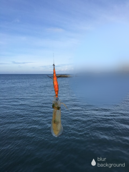 またまた中紀へ