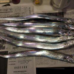 太刀魚〜楽釣〜