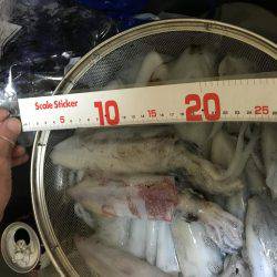 今年はヤッパリ多いきがする