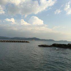 田ノ浦漁港エギング13回目