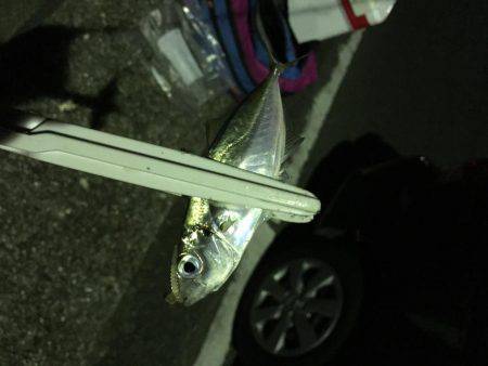 ラインラインライン