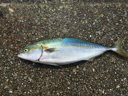 しっっっっっぶい^^;