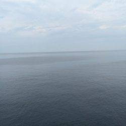 運動会シーズン