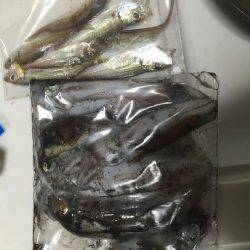 サイトでテクニカルに