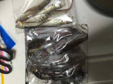 サイトでテクニカルに