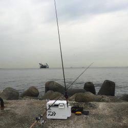 刀狩り サイズはイマイチ