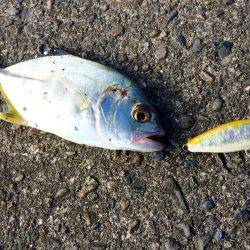 メッキの溜まり場