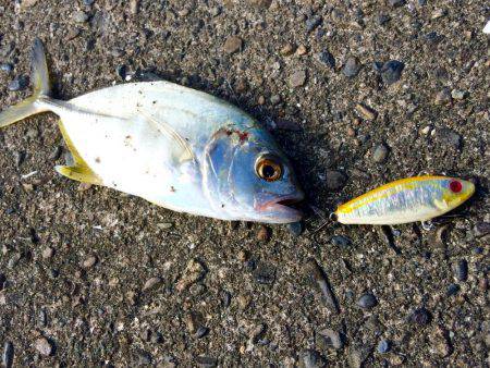 メッキの溜まり場