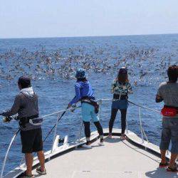 金色に輝く志摩沖の宝石