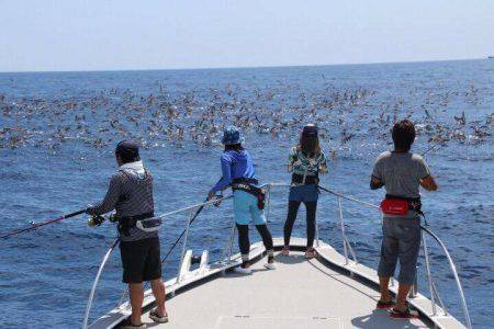 金色に輝く志摩沖の宝石