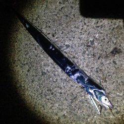 エギングジギング