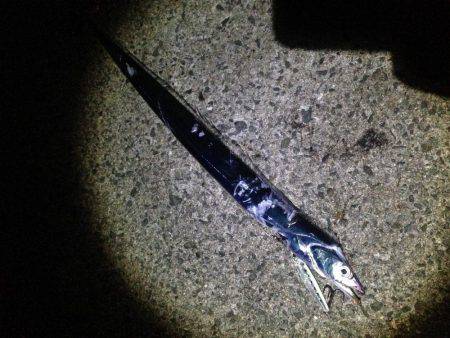 エギングジギング