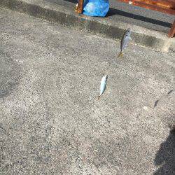 大賑わい食コン