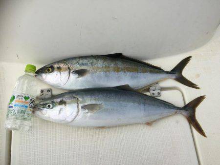 ジギングフェスティバル行って来ました