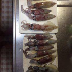 40センチ級を求めて