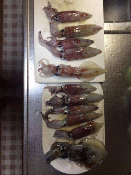 40センチ級を求めて