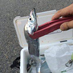 マイポイントで刀狩り