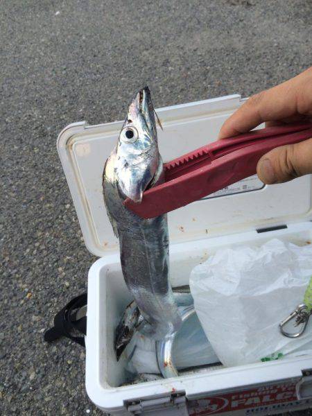 マイポイントで刀狩り