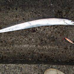 ポーアイ沖堤釣行