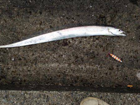 ポーアイ沖堤釣行