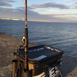 岸和田一文字釣行