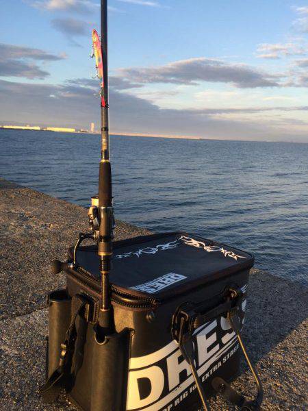 岸和田一文字釣行