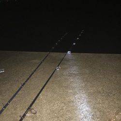 楠漁港  雨中釣行