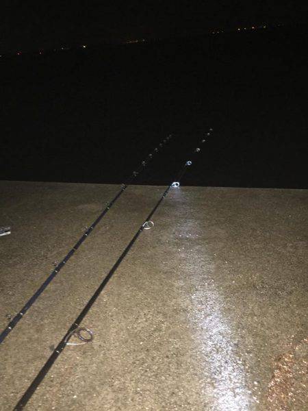 楠漁港  雨中釣行