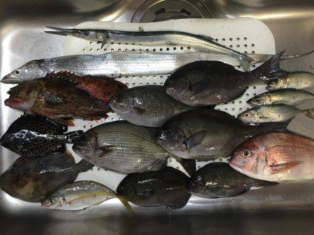 秋口のフカセ満喫