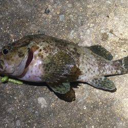 台風の影響は…