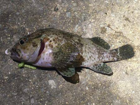 台風の影響は…