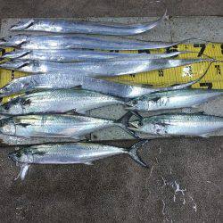 ワインドにて・・・