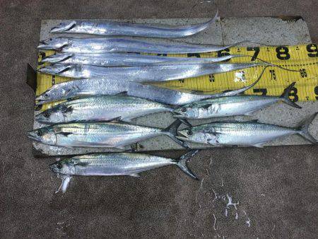 ワインドにて・・・