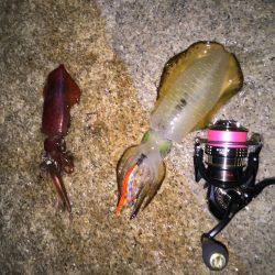 同僚君と新子調査