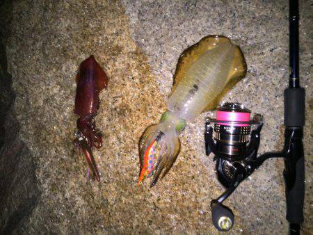 同僚君と新子調査