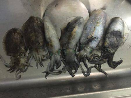 水潮渋々でした