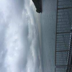 子供とサビキ釣り